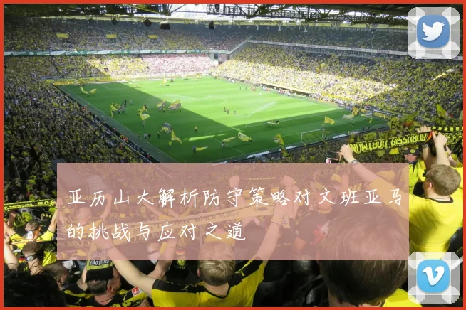 亚历山大解析防守策略对文班亚马的挑战与应对之道
