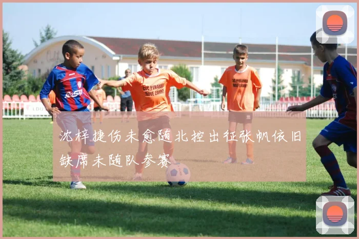沈梓捷伤未愈随北控出征张帆依旧缺席未随队参赛