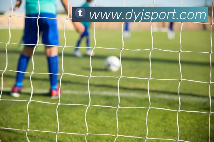 大赢家发展历程